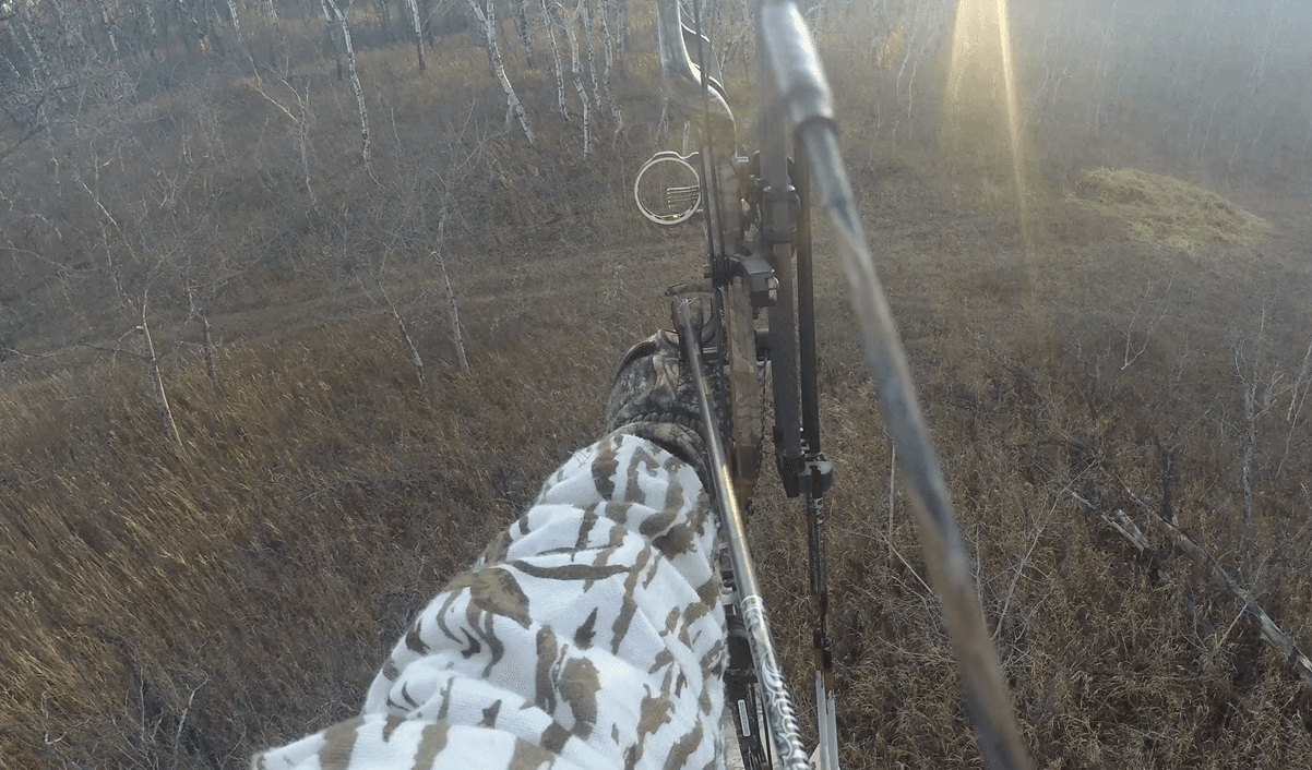 White-Tailed Doe Taken With Slick Trick Broadhead