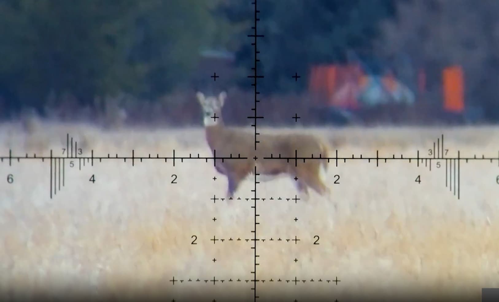 12 Year Old Makes A 400y Shot On Her First Hunt - 7 PRC / Burris XTR Pro