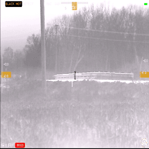 High Humidity, Coyote Dumped On Bridge