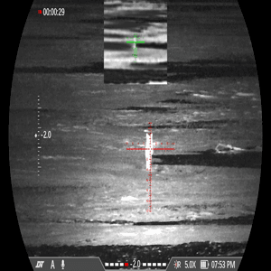Coyote Kill Using DNT ThermNight