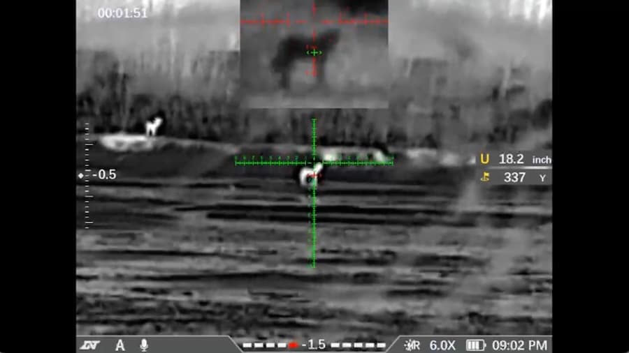 337 Yard Coyote Kill With Thermal 