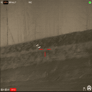 Thermal Deer Overwatch Coyote Down