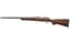 Cz 600+ American 30-06 24" 5rd Wlnt